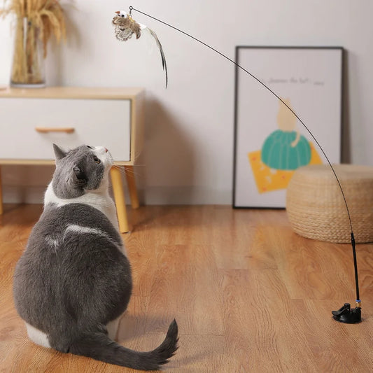 Funny Feather Bird Toy