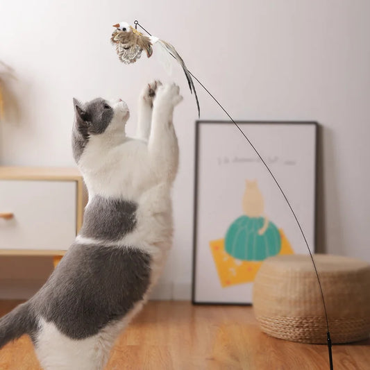 Funny Feather Bird Toy